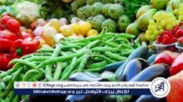 أسعار الخضروات في أسواق المنيا الخميس 27 نوفمبر 2025